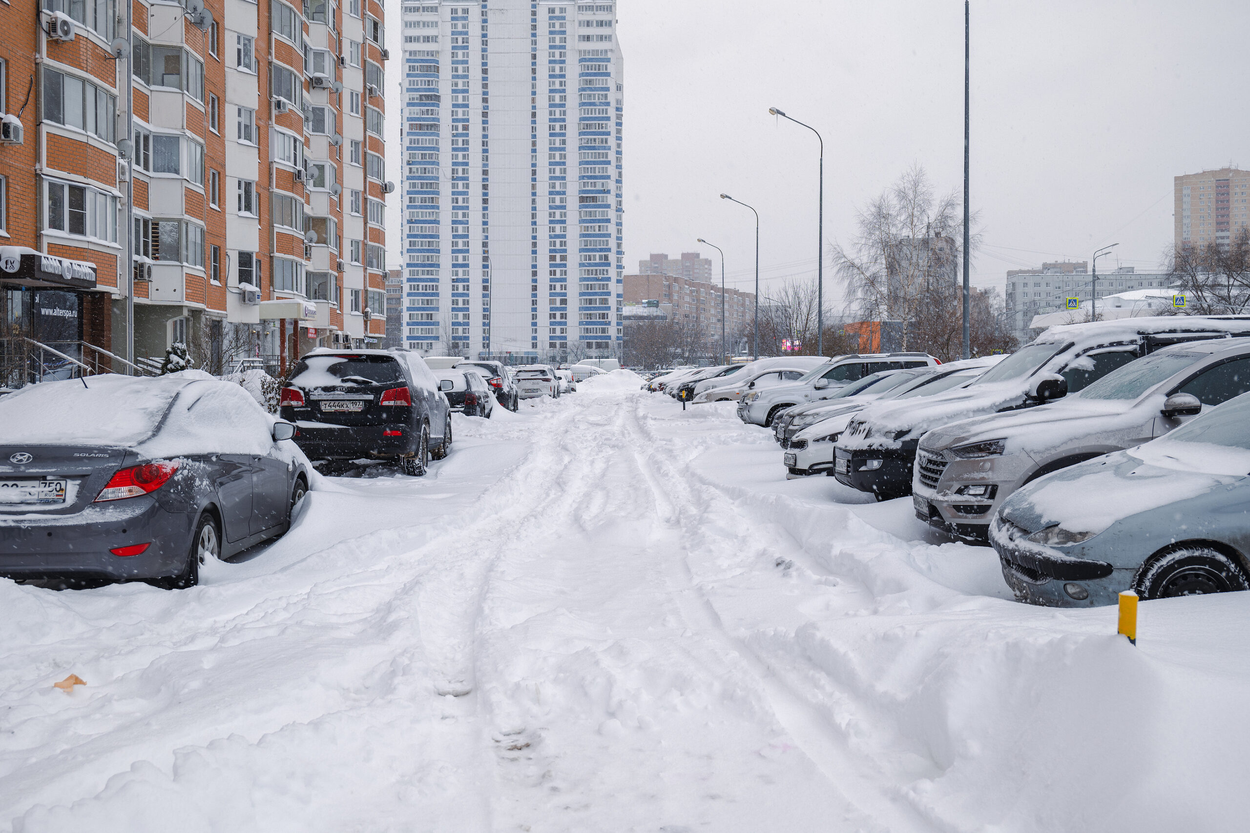 When Winter Drops a Bomb: Understanding Bomb Cyclones