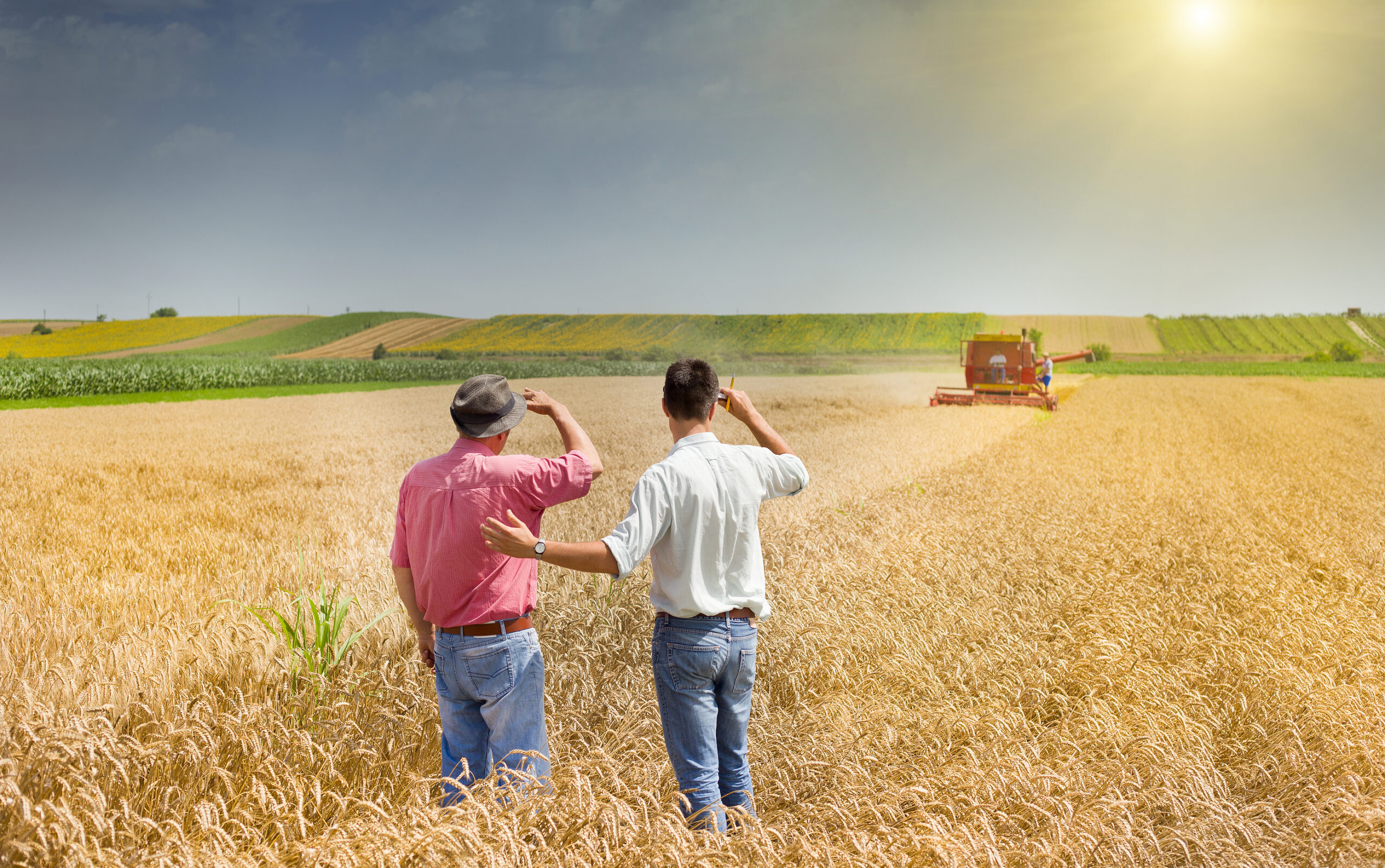 The Growing Challenge of Insuring Agribusiness Risks