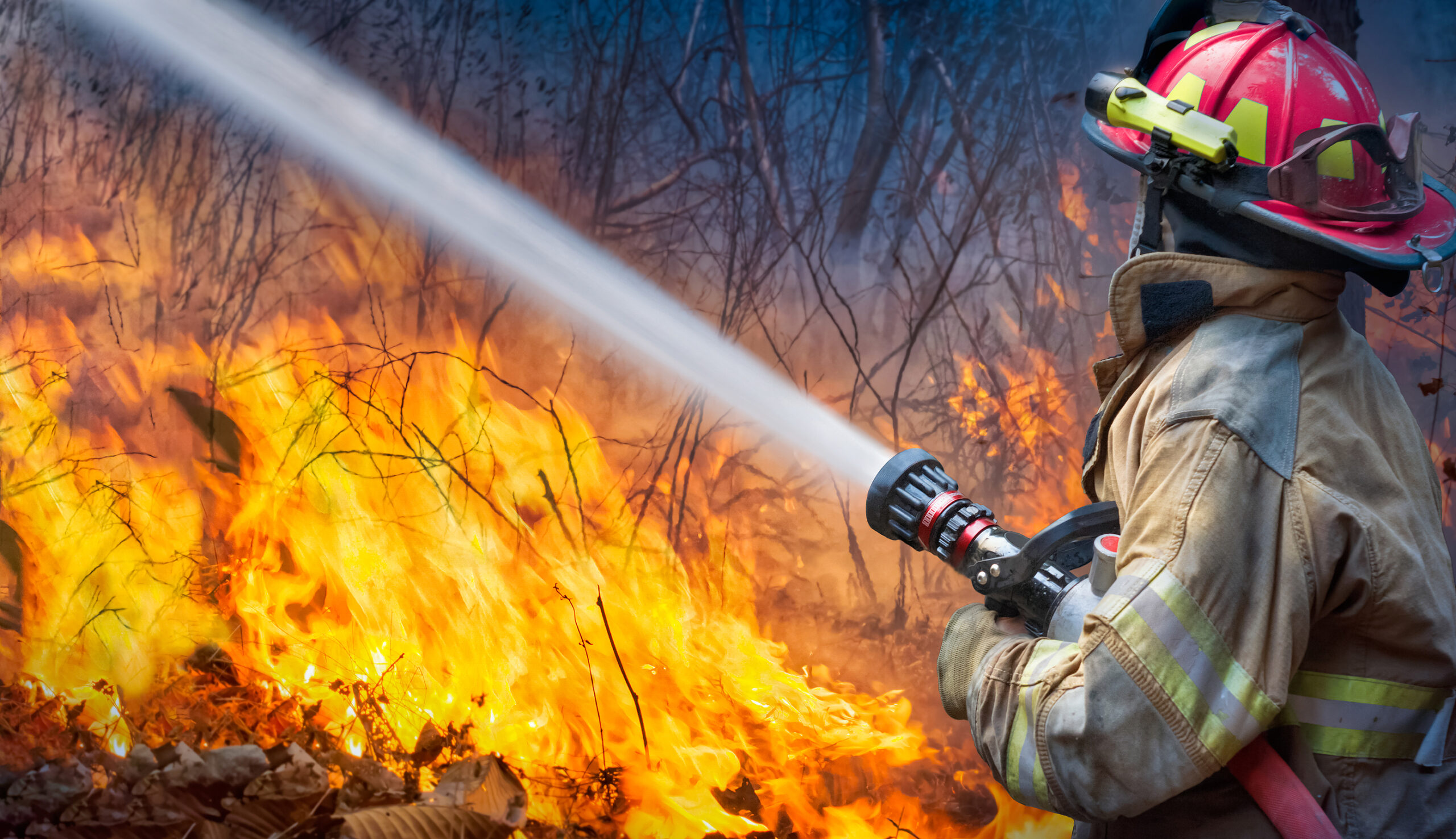 Wildfires and Other Secondary Perils Driving Insurance Costs
