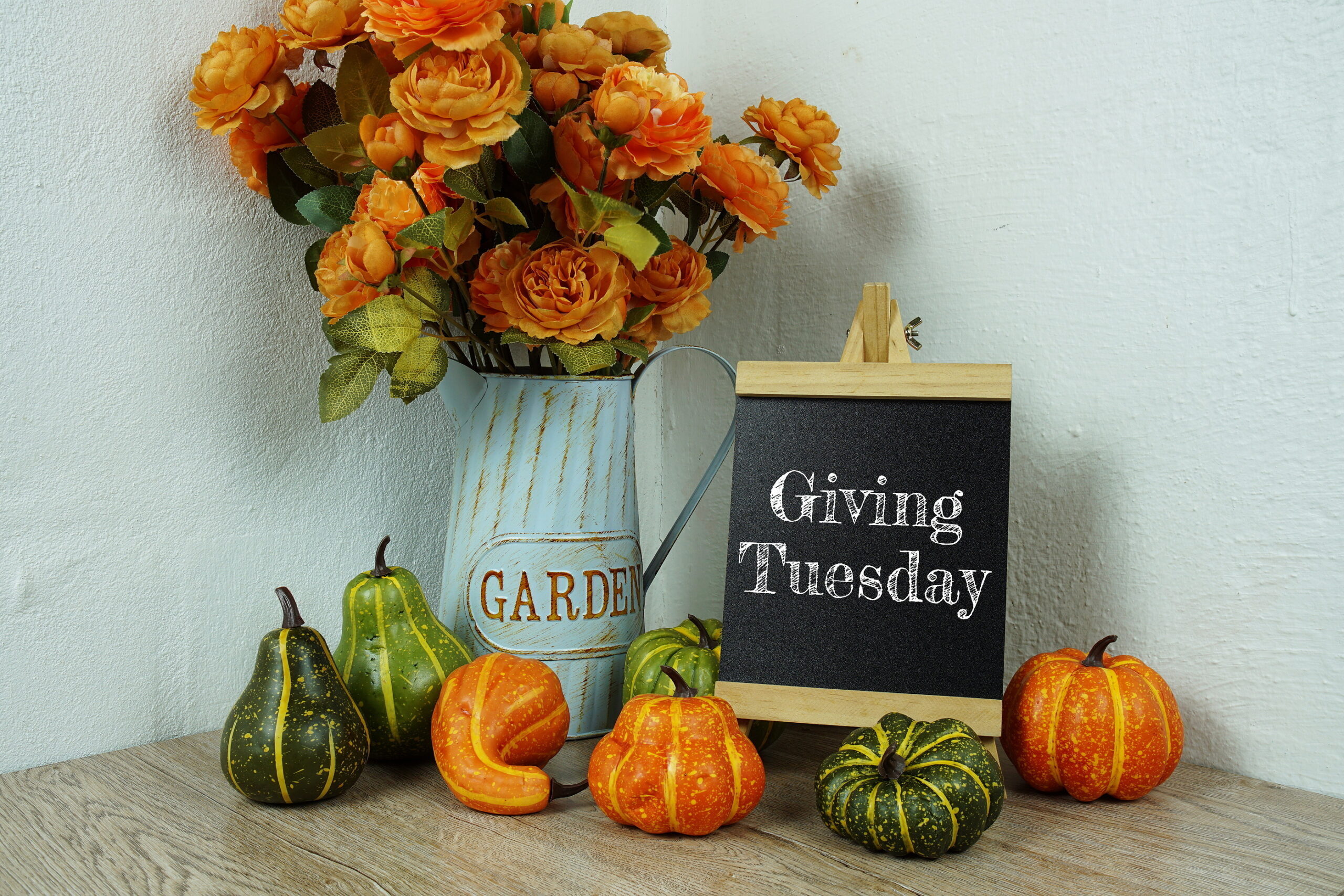 Nonprofit Insurance for Giving Tuesday 2023 — And Beyond