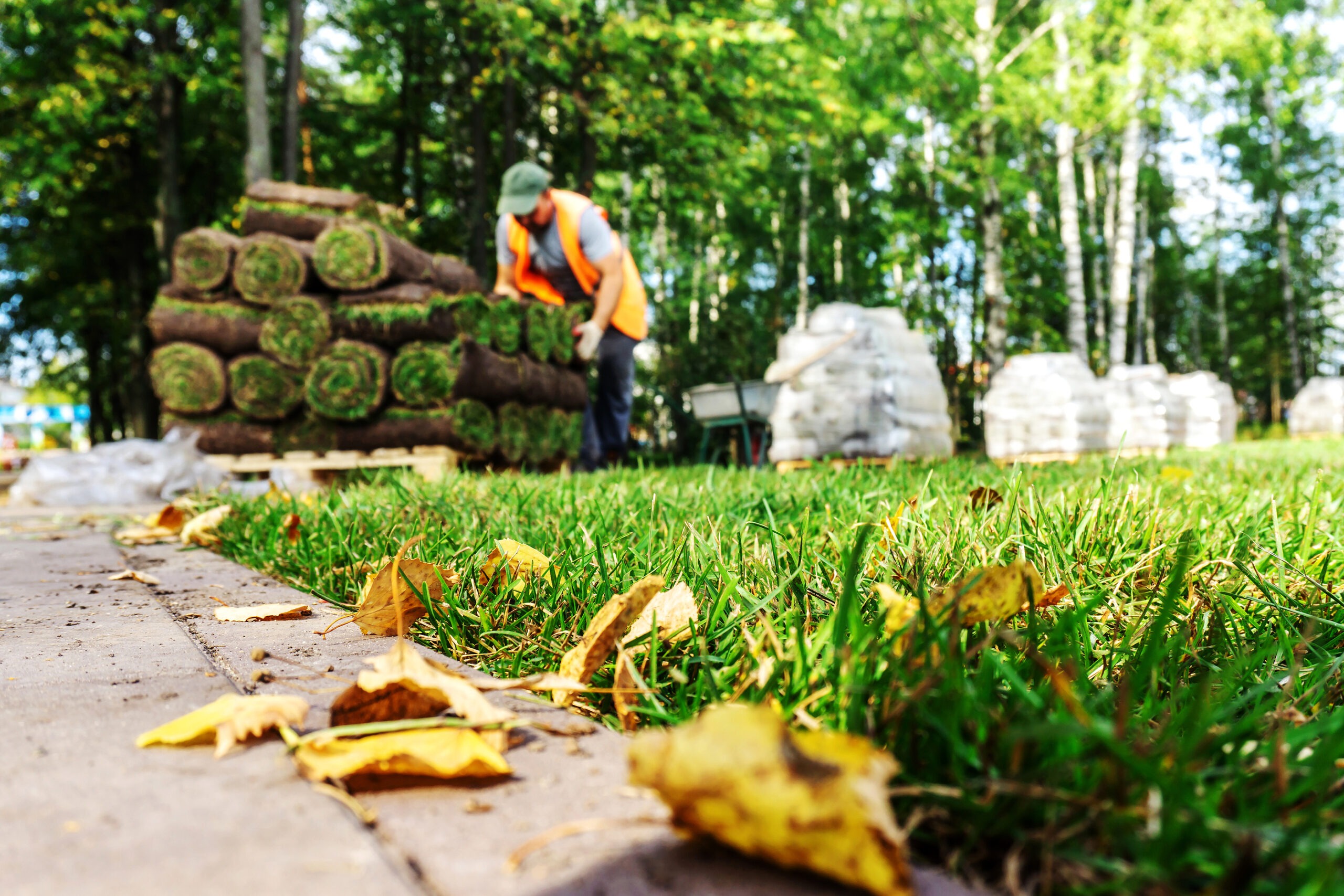 Top 9 Landscaping Insurance Claims (and How to Help Clients Avoid Them)