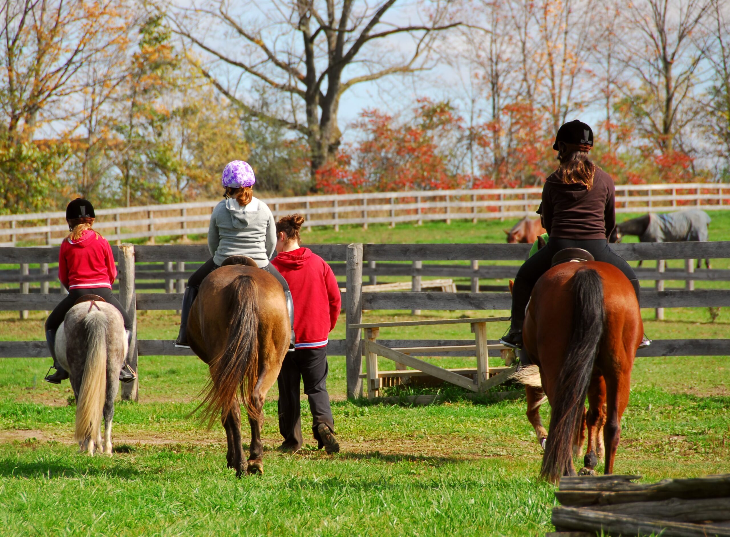 Understanding Equine Liability Coverage: Protecting Horse-Related Operations