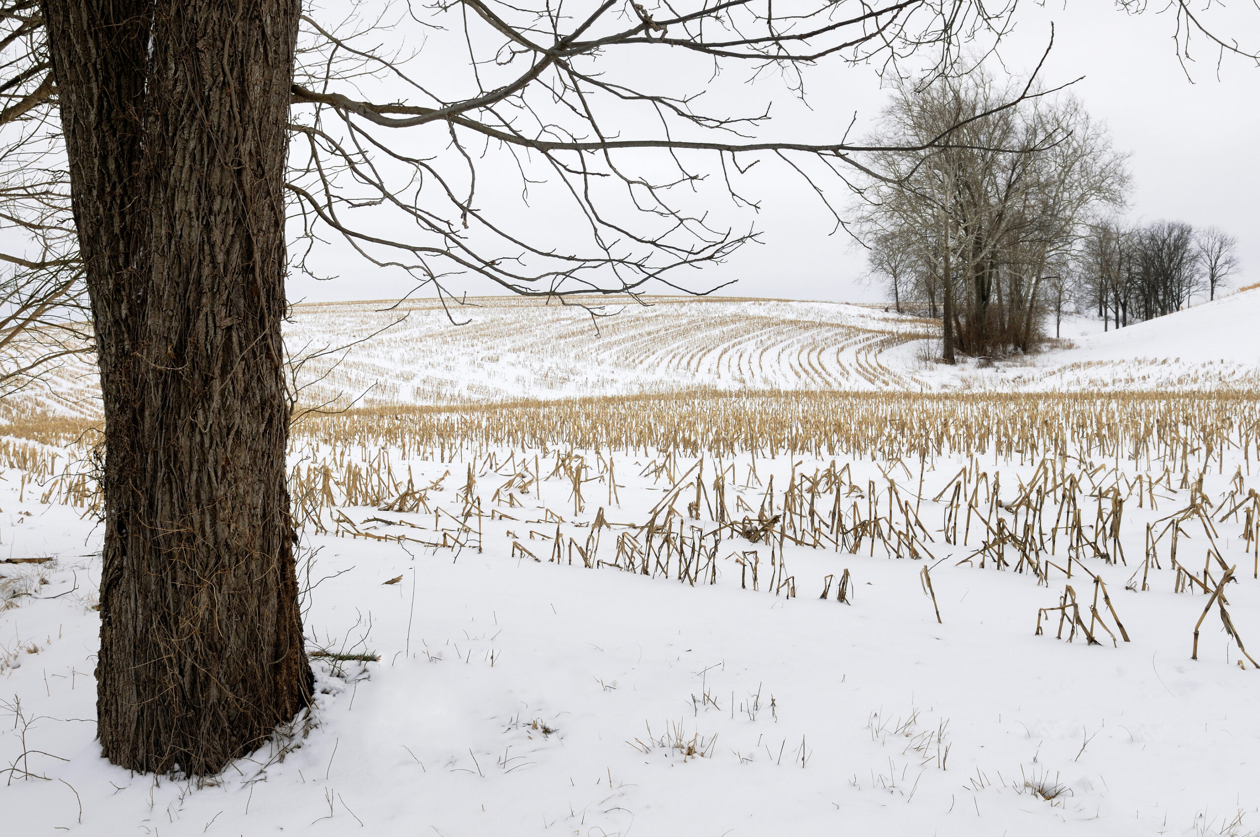 Extreme Weather: When Farmers Need More Than a Raincoat