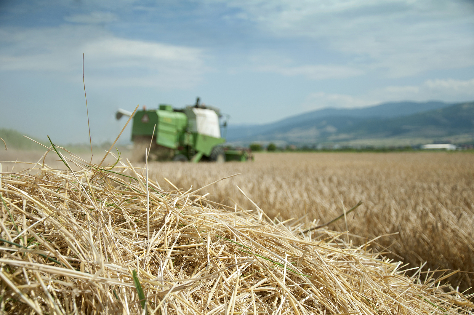 How Weather Trends are Affecting Agribusiness