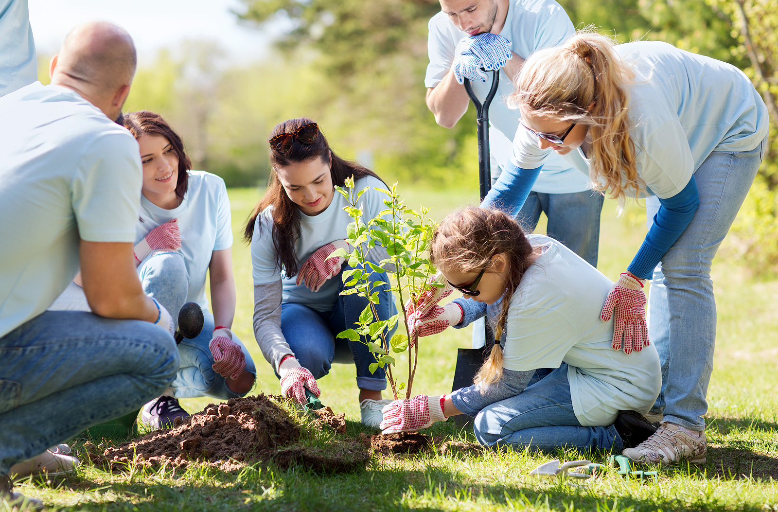 Bridging the Gap: Customized Policy Solutions for Emerging Nonprofit Needs
