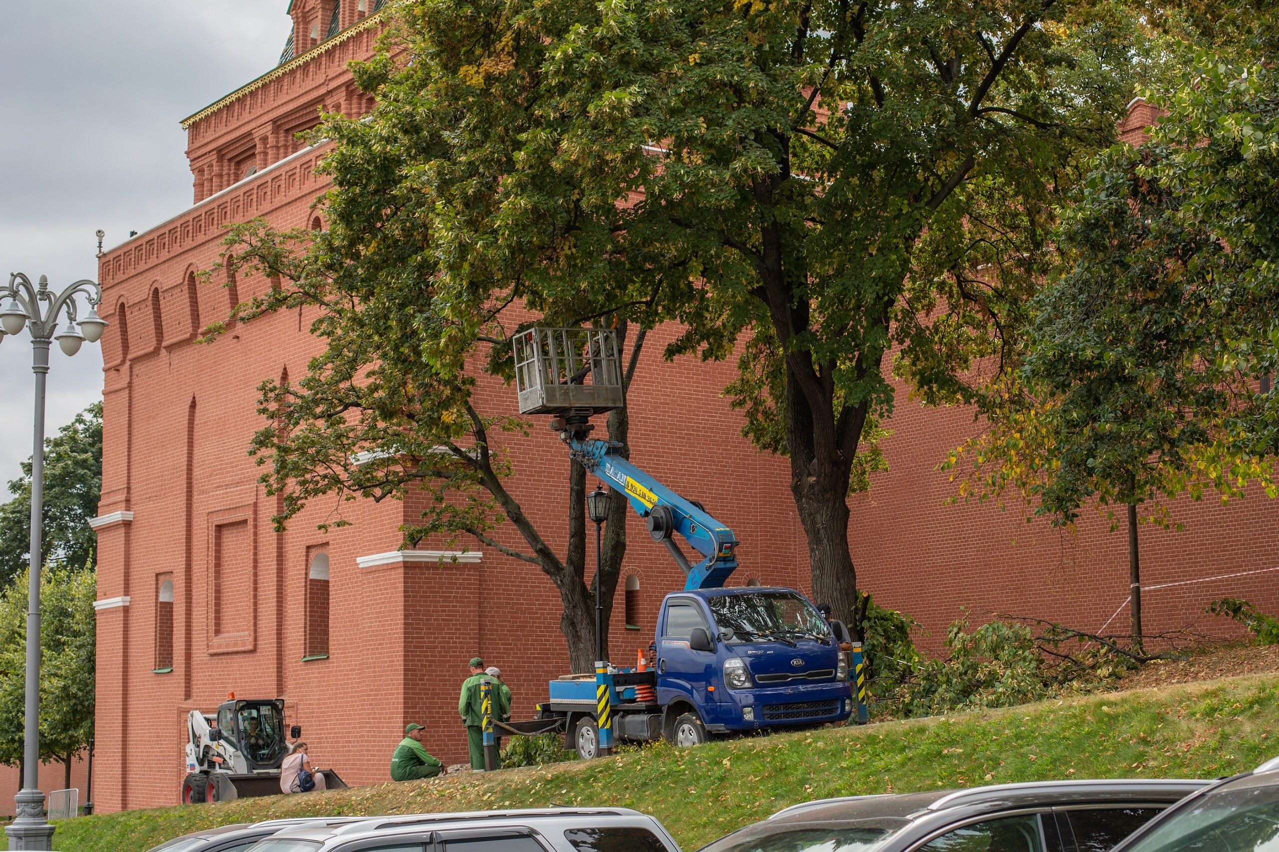 Arborist Insurance Spring Tune-Up: Helping Your Landscaping Clients Look Better to Underwriters